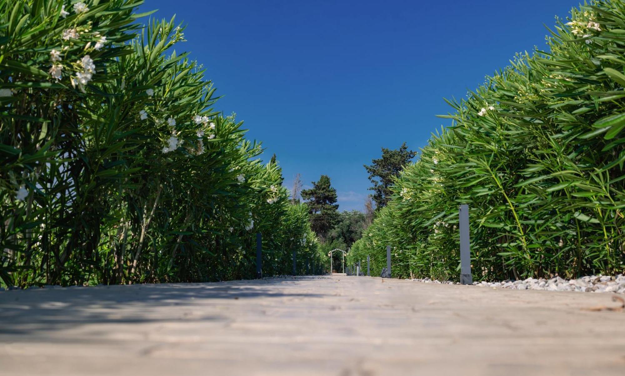 Theluxuryvillas Πρέβεζα Εξωτερικό φωτογραφία