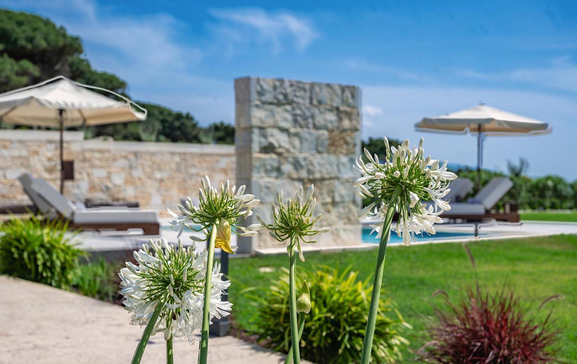 Theluxuryvillas Πρέβεζα Εξωτερικό φωτογραφία