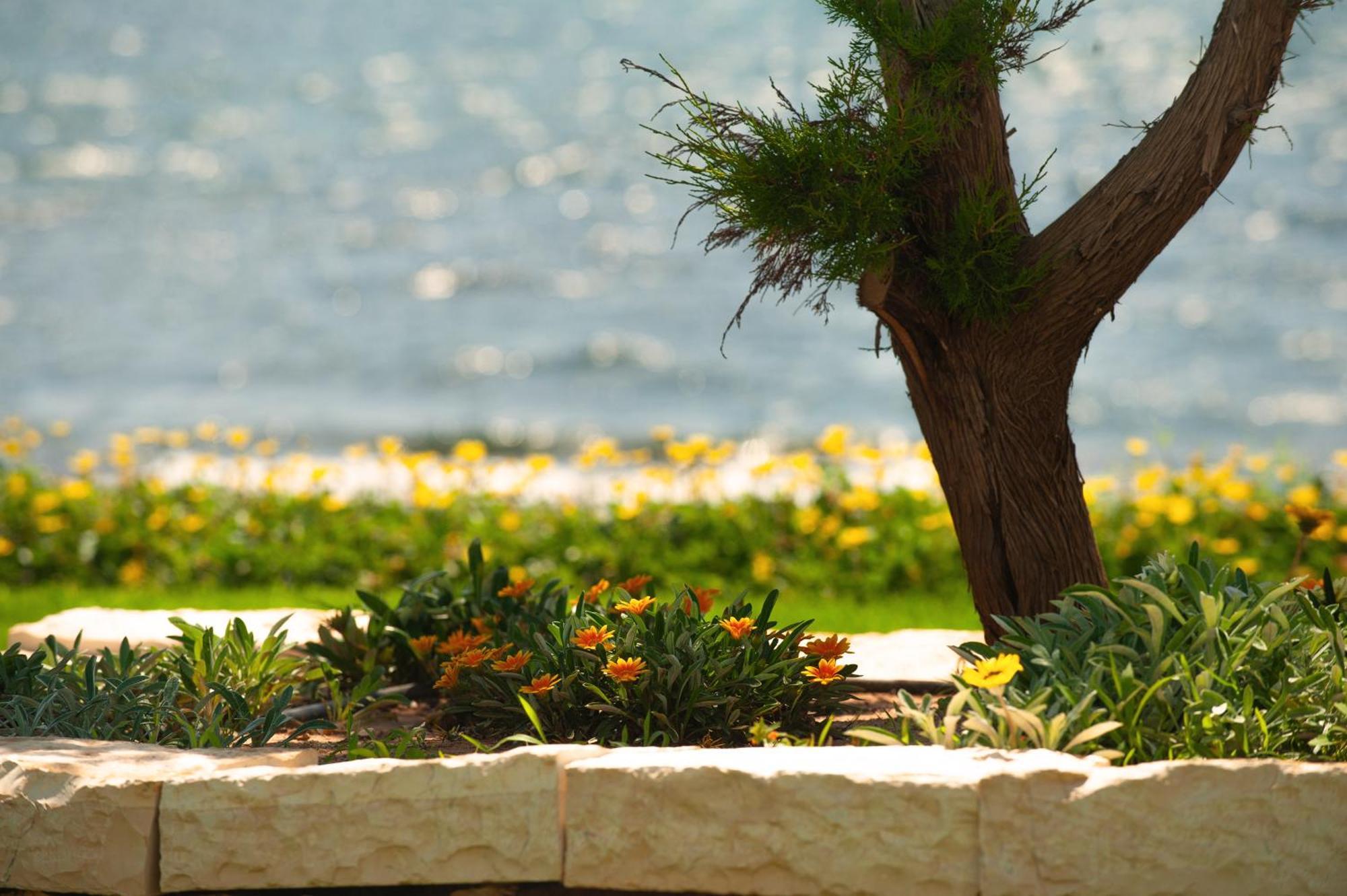 Theluxuryvillas Πρέβεζα Εξωτερικό φωτογραφία
