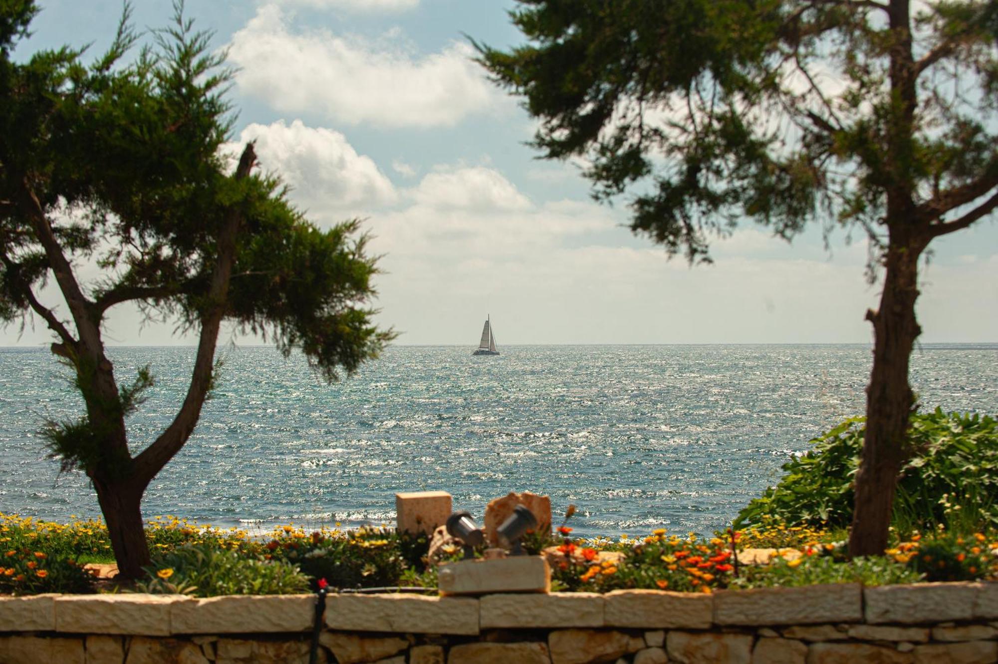 Theluxuryvillas Πρέβεζα Εξωτερικό φωτογραφία