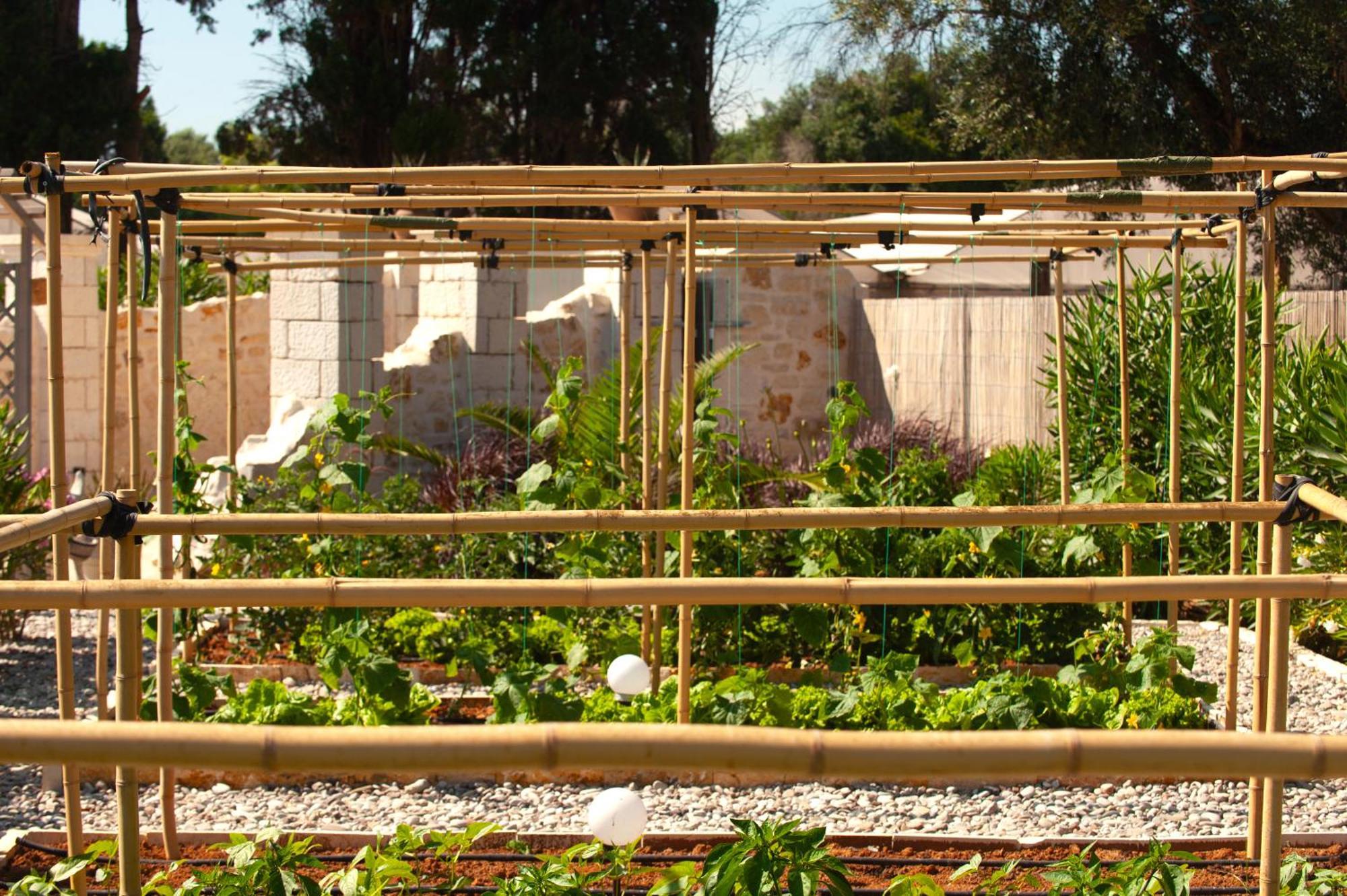 Theluxuryvillas Πρέβεζα Εξωτερικό φωτογραφία